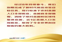 聯播+｜如何鞏固拓展脫貧攻堅成果？中央作出最新部署